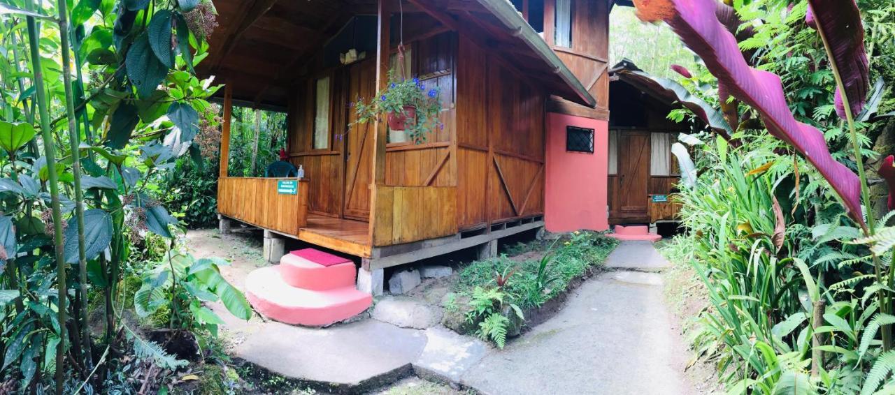 Cabanas Armonia Y Jardin De Orquideas Mindo Dış mekan fotoğraf