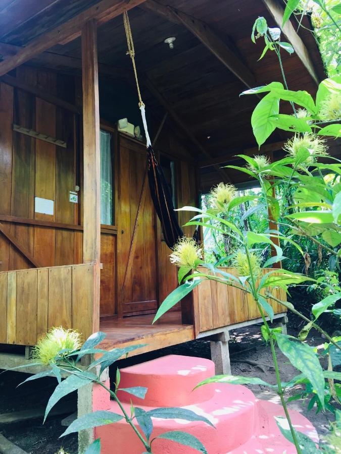 Cabanas Armonia Y Jardin De Orquideas Mindo Dış mekan fotoğraf