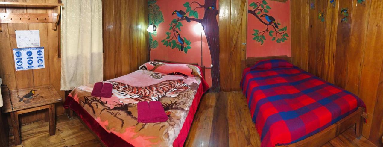 Cabanas Armonia Y Jardin De Orquideas Mindo Dış mekan fotoğraf