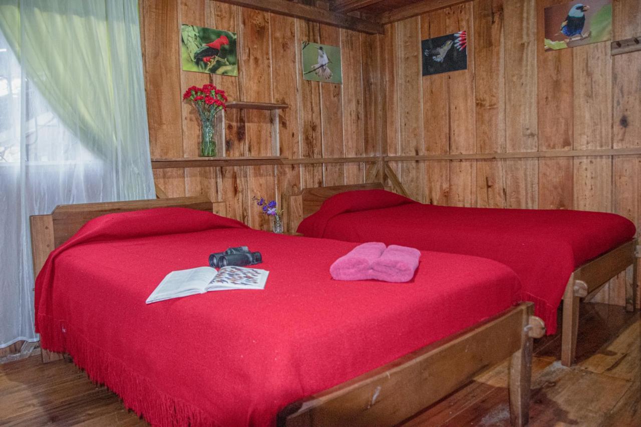 Cabanas Armonia Y Jardin De Orquideas Mindo Dış mekan fotoğraf