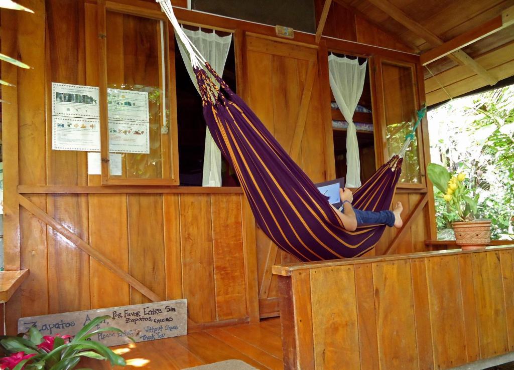 Cabanas Armonia Y Jardin De Orquideas Mindo Oda fotoğraf