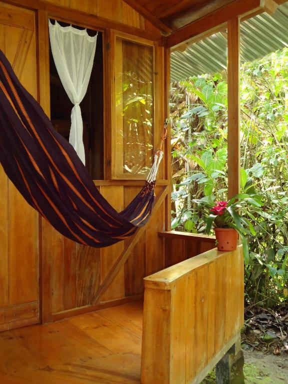 Cabanas Armonia Y Jardin De Orquideas Mindo Dış mekan fotoğraf