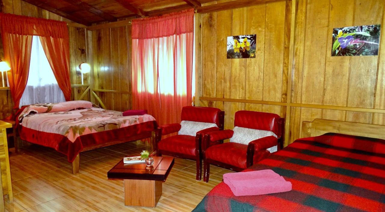 Cabanas Armonia Y Jardin De Orquideas Mindo Dış mekan fotoğraf