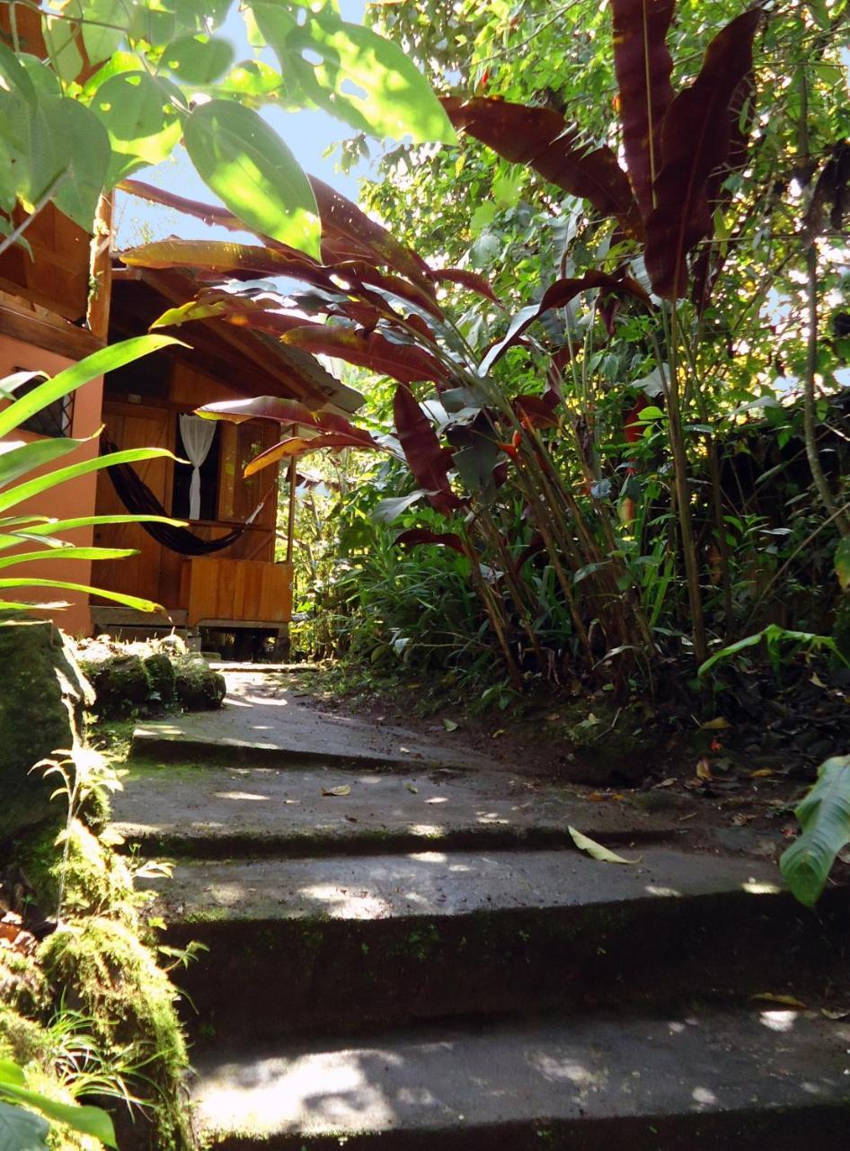 Cabanas Armonia Y Jardin De Orquideas Mindo Dış mekan fotoğraf