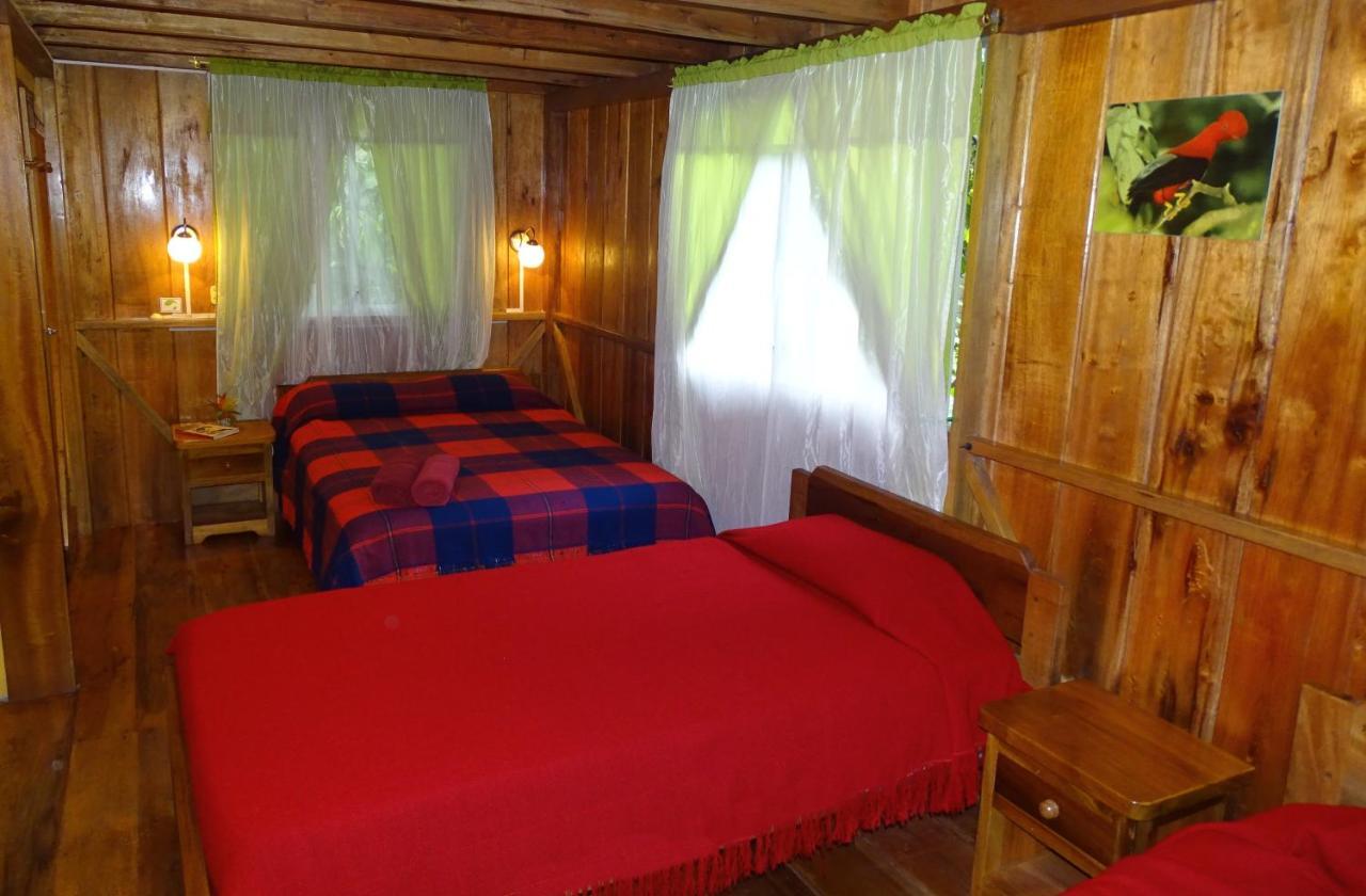 Cabanas Armonia Y Jardin De Orquideas Mindo Dış mekan fotoğraf